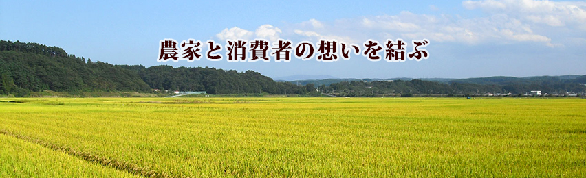 農家と消費者を『結ぶ』お米の専門店　茶や坂