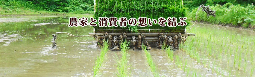 農家と消費者を『結ぶ』お米の専門店　茶や坂