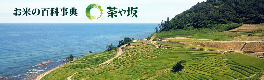 お米の百科事典　茶や坂